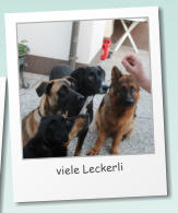 viele Leckerli