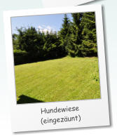 Hundewiese (eingezunt)