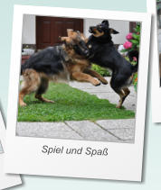 Spiel und Spa