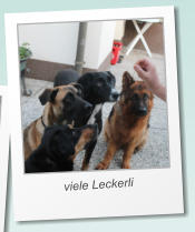 viele Leckerli