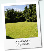 Hundewiese (eingezunt)